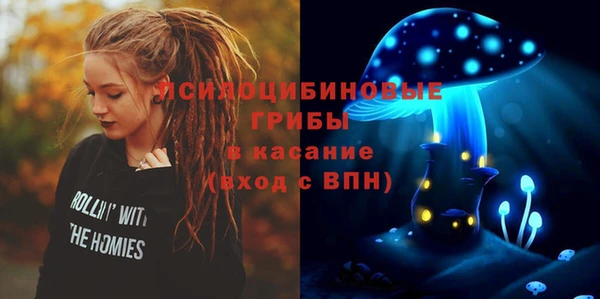 молекула духа Алзамай