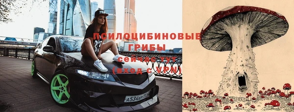 молекула духа Алзамай